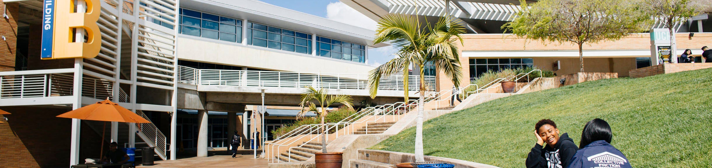 MAJORS MINORS visual data 5